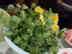 -曲氏老北京铜锅涮肉•火锅(不老街店)