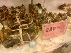 阳澄湖牌大闸蟹-金城大酒店-中餐厅(汾江中路店)