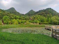 -贵阳市花溪国家城市湿地公园