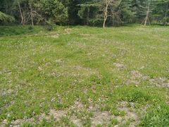 -昆山城市生态森林公园