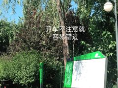 -柳浪游泳场