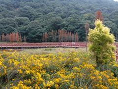 景点-广州市石门国家森林公园