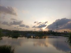 -王借岗森林公园