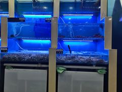水产区-老虎滩大连海鲜烧烤(建邺云锦路总店)