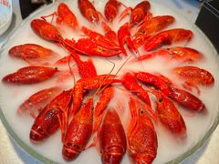 精品冰镇龙虾-红盔甲·小龙虾(天钥桥店)