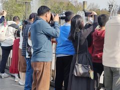 -大雁塔北广场音乐喷泉