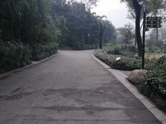 -成都动物园