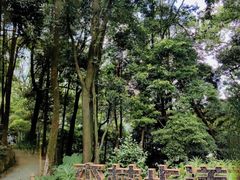 -广州市帽峰山景区