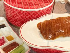 -秀儿四九城·新京菜(亚运村鸟巢店)