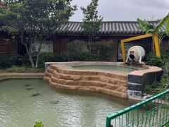 -大理地热国