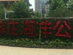 -石家庄海洋公园