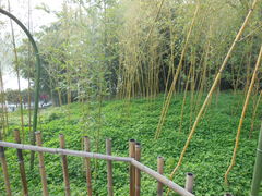 -紫竹院公园冰场