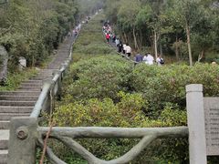 -梧桐山风景名胜区