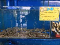 -蚝专家(北滘店)