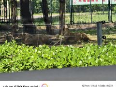 -秦皇岛野生动物园