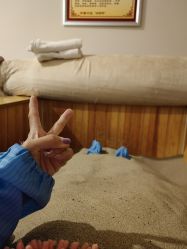 -东方凯丽·美容抗衰会所·菲比店