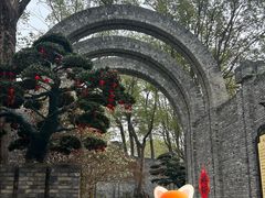 -朴园
