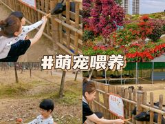 -惠州西湖丰渚园