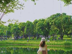 -四海公园(南山区)