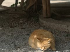 -大钟寺古钟博物馆