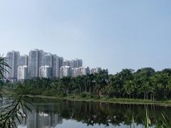 -聚龙山公园
