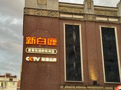 -新白鹿餐厅(龙游路店)