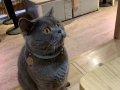 -小时光咖啡馆(开森度假森林店)
