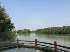 -大湾区中央湿地公园