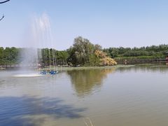-大湾区中央湿地公园