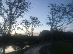-周浦花海-停车场