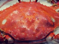 -胖大嫂渔家排档·全海景餐厅(渔村店)