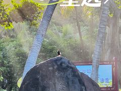 -白沙门生态公园