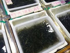 -陇南批发市场