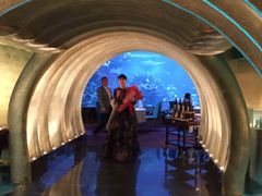 -迪拜帆船酒店海底餐厅