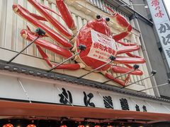 -蟹道乐(道顿堀本店)