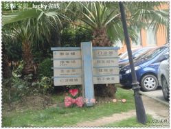 -上海交通大学医学院附属上海儿童医学中心(陆家嘴总院区)