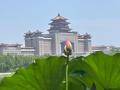 -莲花池公园