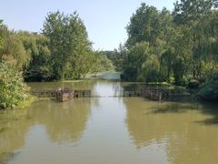 -溱湖国家湿地公园