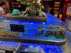 -鸽子侯·家宴·平价海鲜(绿地店)