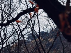-石老人观光园