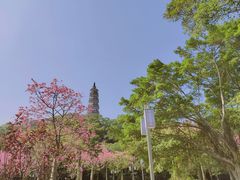 -顺峰山公园