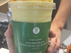 -茉酸奶(雨花客厅店)