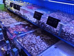 -渔民船说·北塘海鲜·天津菜·海肠捞饭(北塘古镇店)