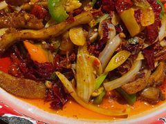 -柴窝堡22号辣子鸡·传承新疆菜