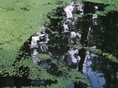 -渌洋湖湿地公园