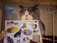 -方浜中路45弄小区