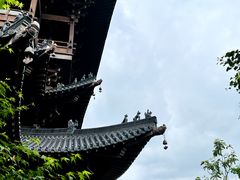 -杭州半山国家森林公园