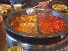 -蜀大侠火锅(总府路店)