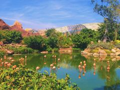 -芽庄珍珠岛游乐园