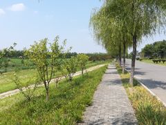 -洨河生态公园